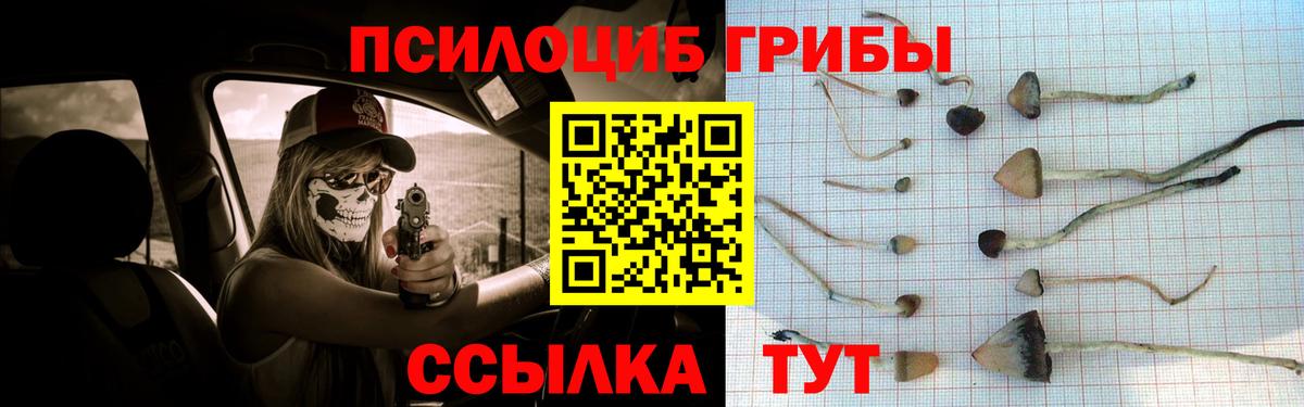 Псилоцибиновые грибы мухоморы  Вход с VPN  Иваново  Галлюциногенные грибы Magic Shrooms 